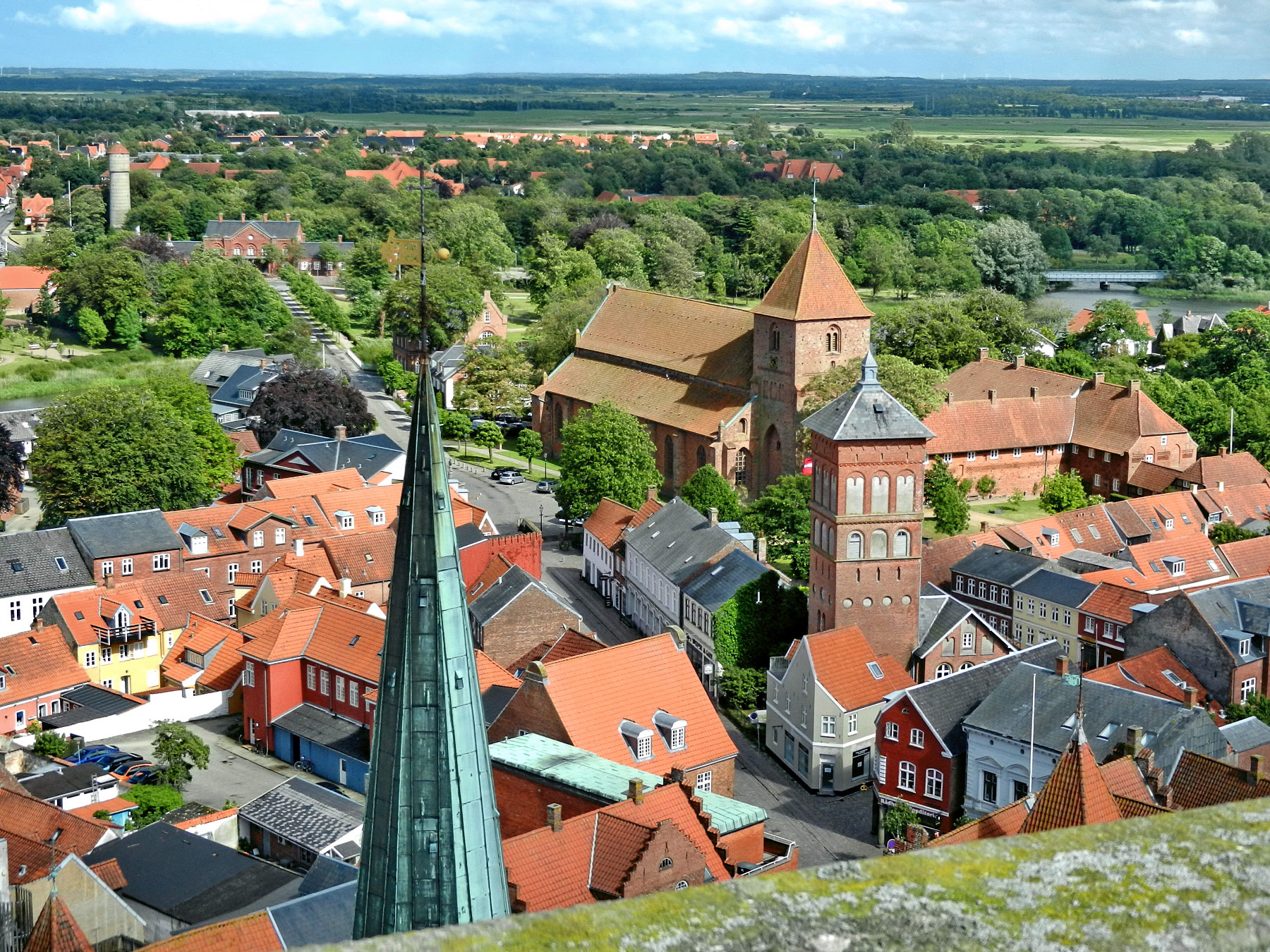 Ribe
